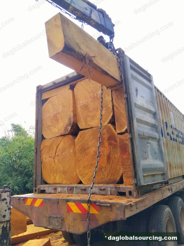 Bilinga timber from Nigeria — goods a Vietnam buyer wants