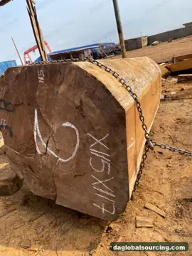 Iroko from Cameroon — real goods photo 2