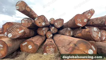 Looking For Okan (Denya) Suppliers In Cameroon