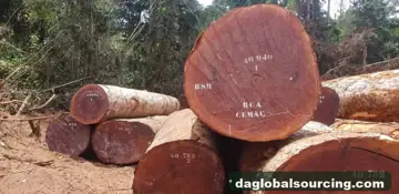 Looking For Sapelli (Sapele) Suppliers In Cameroon