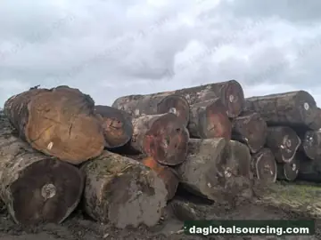 Tali (Ironwood) from Cameroon — real goods photo 3