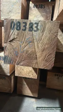 Looking For Tali (Ironwood) Suppliers In Cameroon