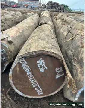 Wenge from Congo — real goods photo 2