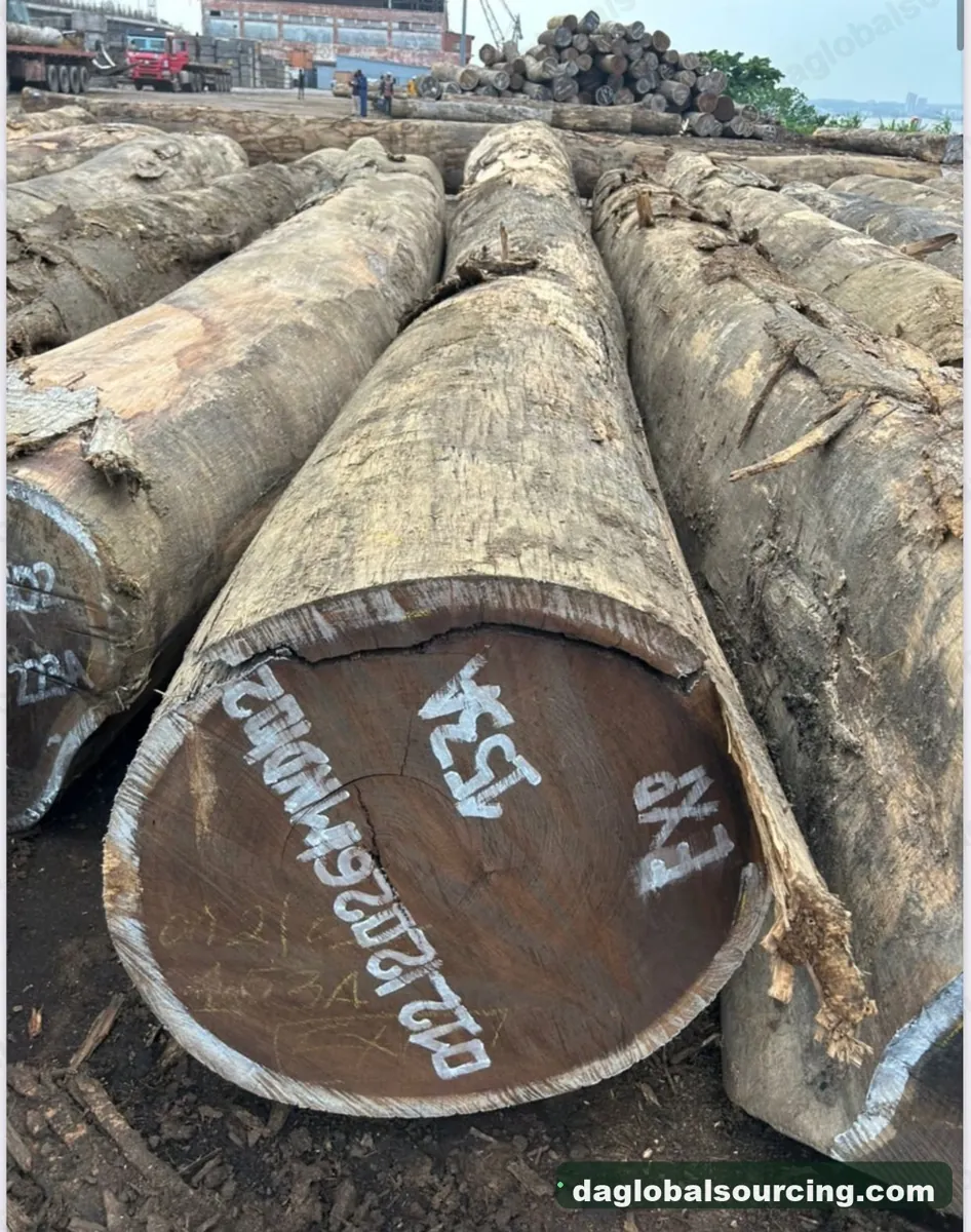 Wenge timber from Congo — goods a Vietnam buyer wants