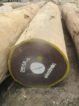 Buying Afrormosia (Aformosia) Logs From Congo — Vietnam Wood Buyer