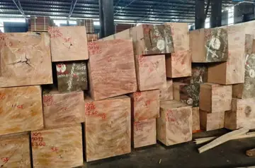 Vietnam Buyer Needs Bosse Squared Timber From Congo
