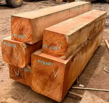 Import Doussie Squared Timber From Cameroon - Vietnam Buyer