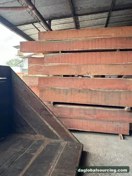 Need Balsamo Squared Wood From Bolivia - Monthly Order