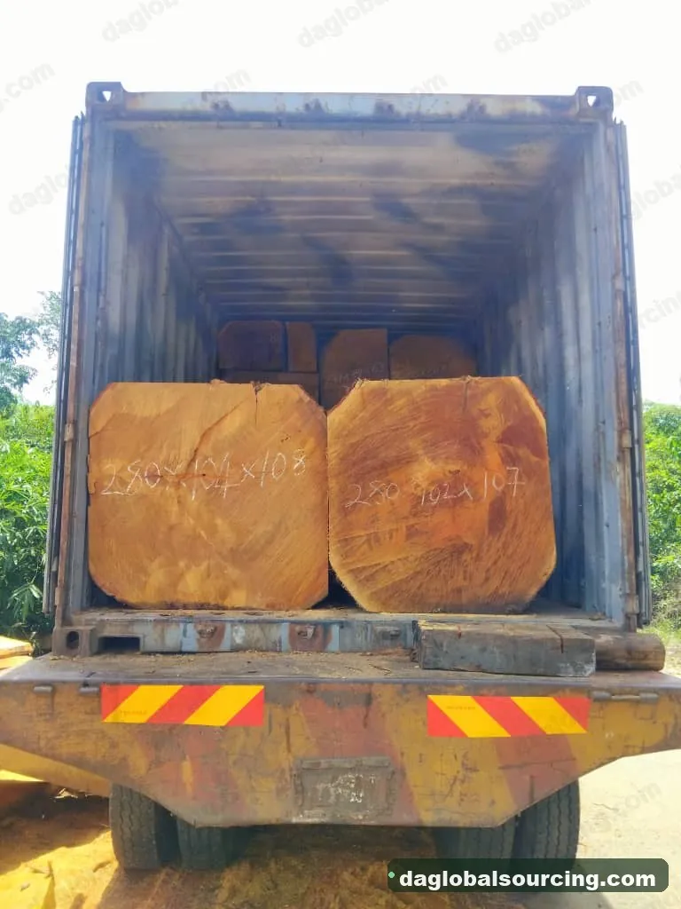 Bilinga squared from Cameroon — goods a Vietnam buyer wants