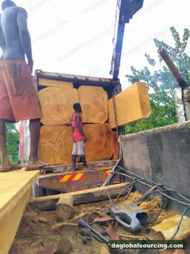 Need Bilinga Squared Wood From Congo - Monthly Order