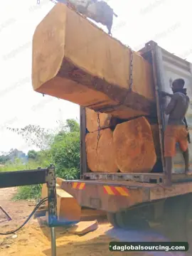 Bilinga from Nigeria — real goods photo 3
