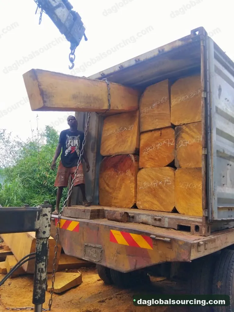 Bilinga squared from Nigeria — goods a Vietnam buyer wants