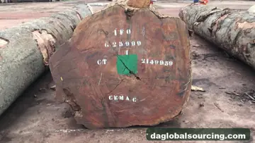 Need Bosse Logs From Congo - Monthly Order