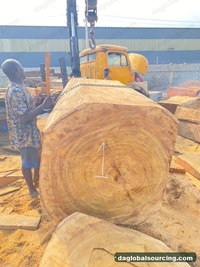 Iroko squared from Congo — goods a Vietnam buyer wants