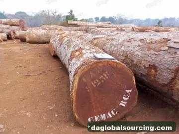 Need Pachyloba (Afzelia) Logs From Central African Republic - Monthly Order