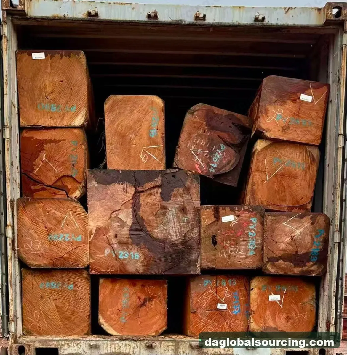 Pachyloba squared from Central African Republic — goods a Vietnam buyer wants
