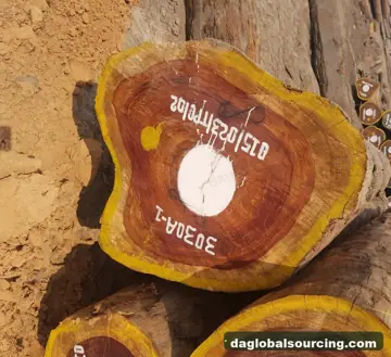 Need Padouk Logs From Central African Republic - Monthly Order