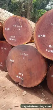 Need Sapelli (Sapele) Logs From Central African Republic - Monthly Order