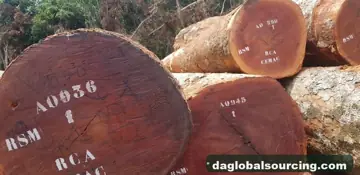 Sapelli (Sapele) from Congo — real goods photo 2