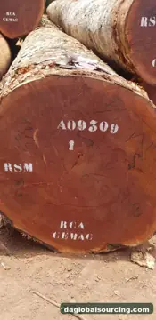 Need Sapelli (Sapele) Logs From Congo - Monthly Order