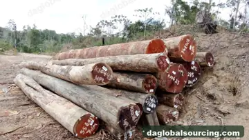 Wpl from Suriname — real goods photo 3