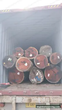 Wpl from Suriname — real goods photo 2