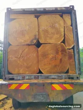 Nigeria Bilinga Squared Wood Needed By Vietnam Importer