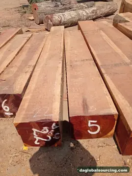 Peru Jatoba (Azucar Huayo) Squared Wood Needed By Vietnam Importer