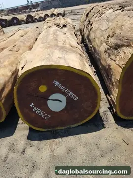 Purchase Afrormosia (Assamela) Logs From Congo Every Month