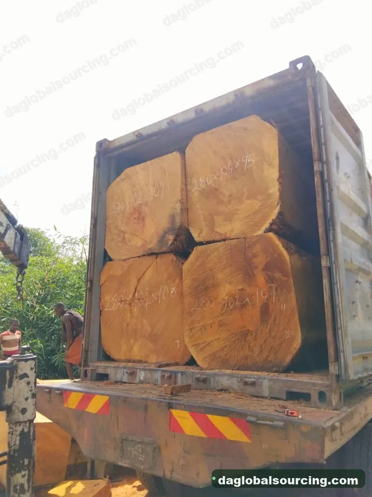 Bilinga squared from Congo — goods a Vietnam buyer wants