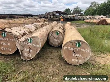 Purchase Bosse Logs From Cameroon Every Month