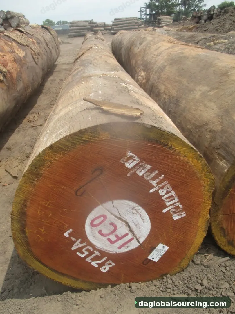 Doussie (Afzelia) logs from Cameroon — goods a Vietnam buyer wants