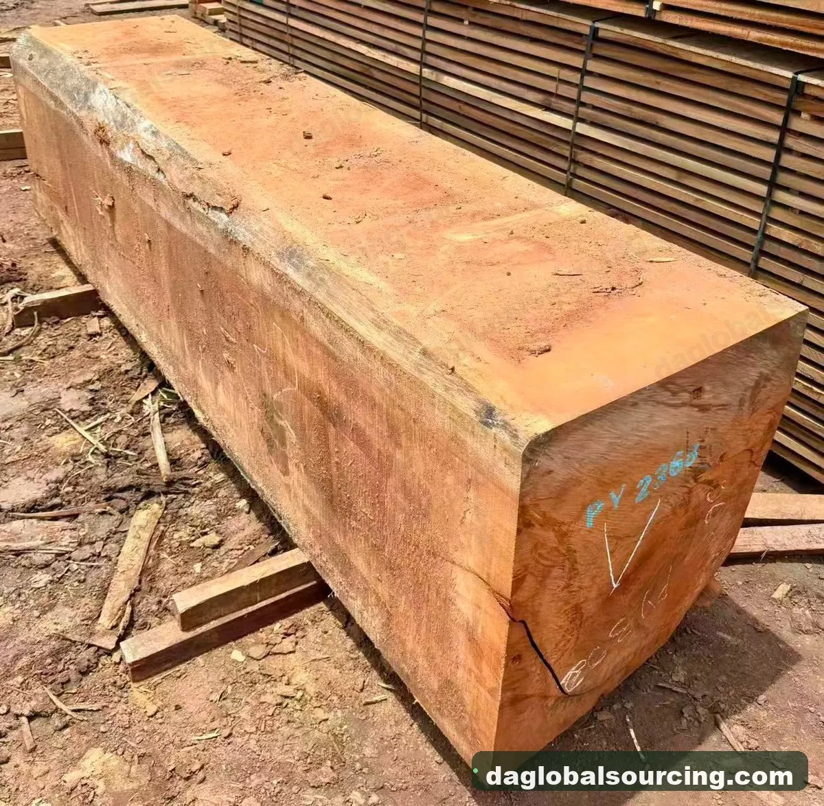 Doussie (Afzelia) squared from Central African Republic — goods a Vietnam buyer wants