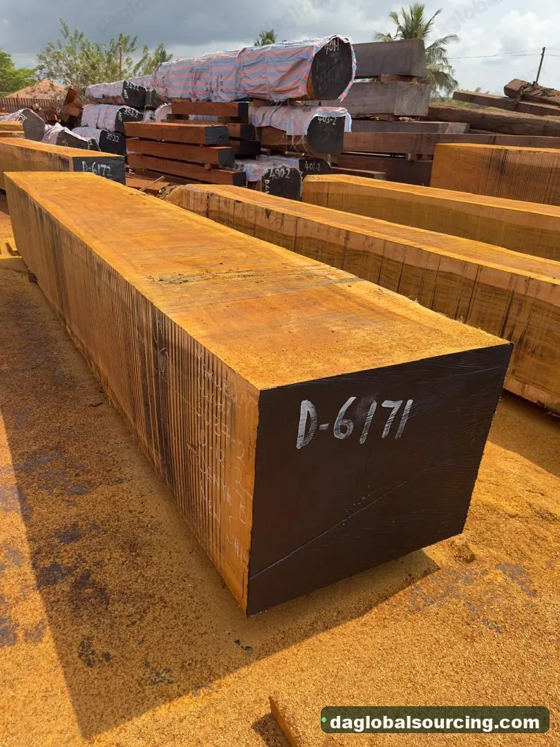 Okan squared from Central African Republic — goods a Vietnam buyer wants