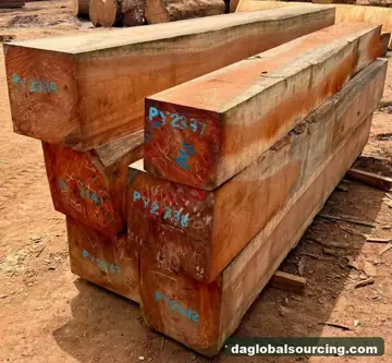 Purchase Pachyloba (Afzelia) Squared Wood From Central African Republic Every Month