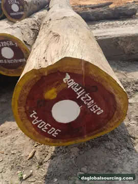 Purchase Padouk Squared Wood From Central African Republic Every Month