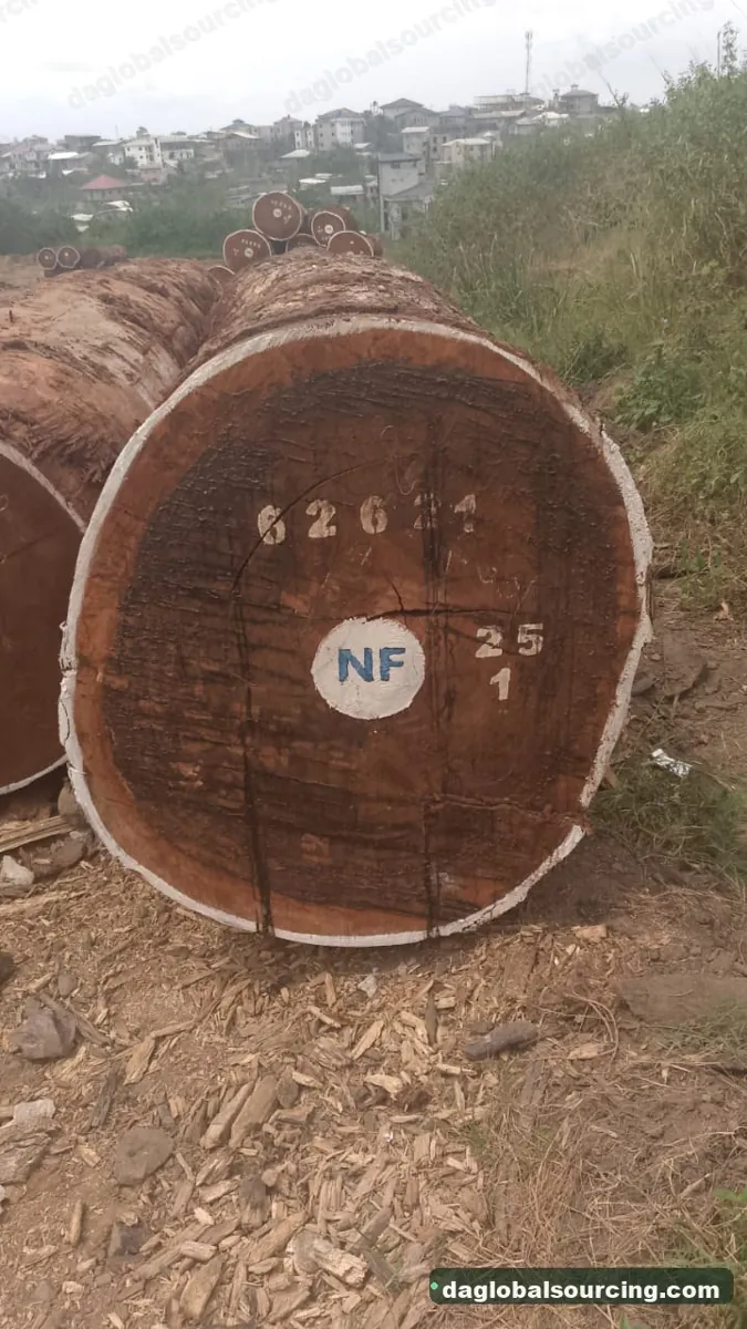 Tali (Ironwood) logs from Central African Republic — goods a Vietnam buyer wants