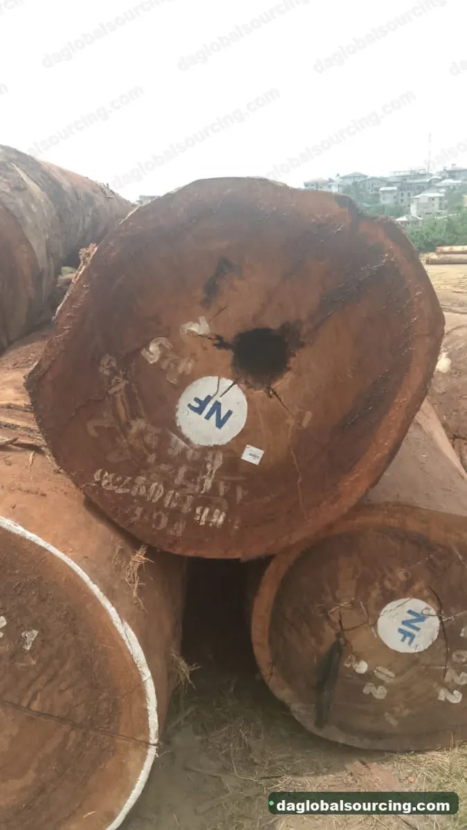 Tali (Ironwood) logs from Congo — goods a Vietnam buyer wants