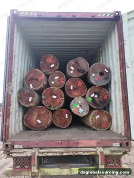 Wpl from Suriname — real goods photo 2