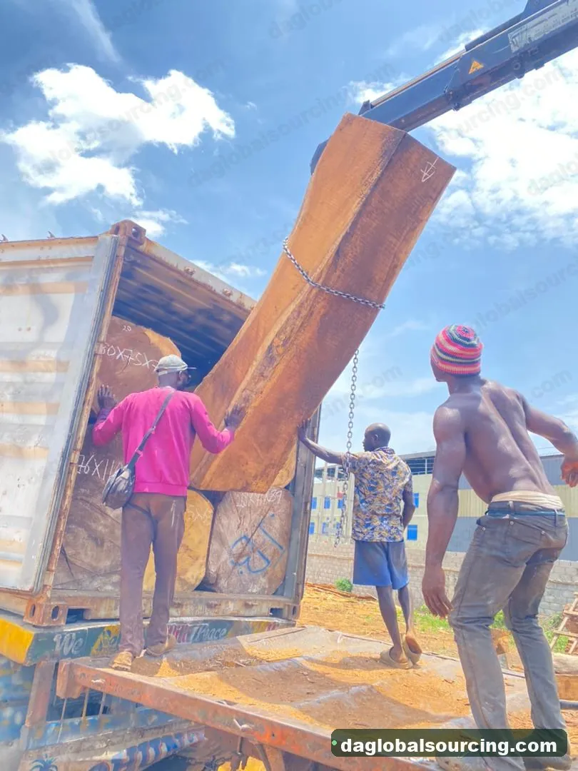 Iroko logs from Congo — goods a Vietnam buyer wants