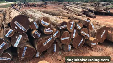 Kaw from Suriname — real goods photo 2