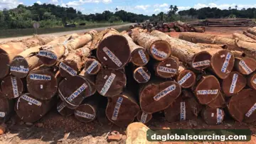 Regular Buyer Of KAW (Kaw Udu) Logs From Suriname