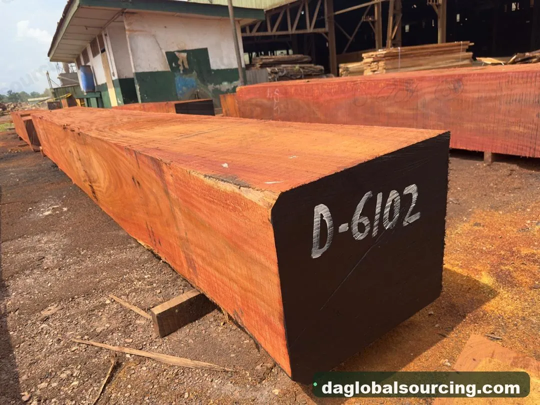 Okan squared from Central African Republic — goods a Vietnam buyer wants