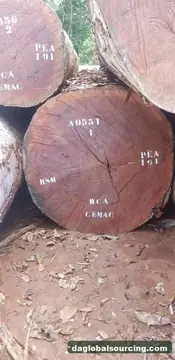 Regular Buyer Of Sapelli (Sapele) Logs From Central African Republic