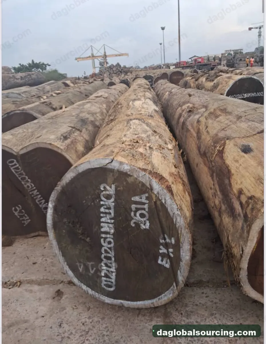Wenge logs from Congo — goods a Vietnam buyer wants