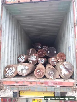 Wpl from Suriname — real goods photo 4