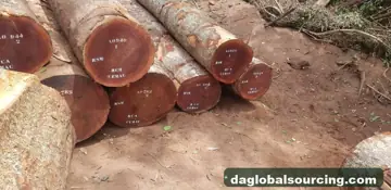 Sapelli (Sapele) Logs From Cameroon - Vietnam Buyer Wanted