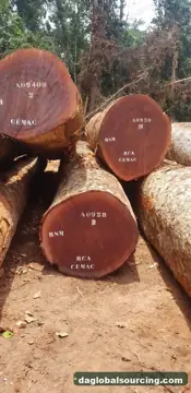 Sapelli (Sapele) Logs Wanted - Vietnam Monthly Buyer — Central African Republic