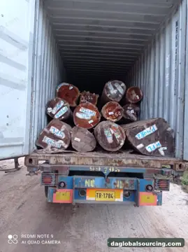 Suriname WPL (Witte Pinto Locus) Logs Needed By Vietnam Importer