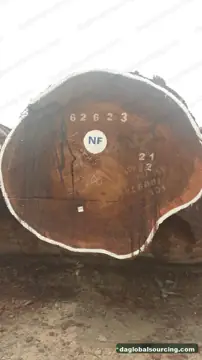Tali (Ironwood) Logs From Congo - Vietnam Buyer Wanted